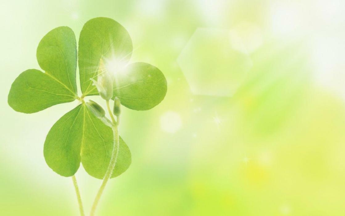 Sapa Clover Hotel Εξωτερικό φωτογραφία
